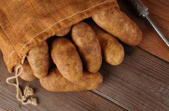 how long to boil russet potatoes